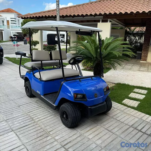 vehiculos recreativos - CARRITO DE GOLF YAMAHA 2009 1