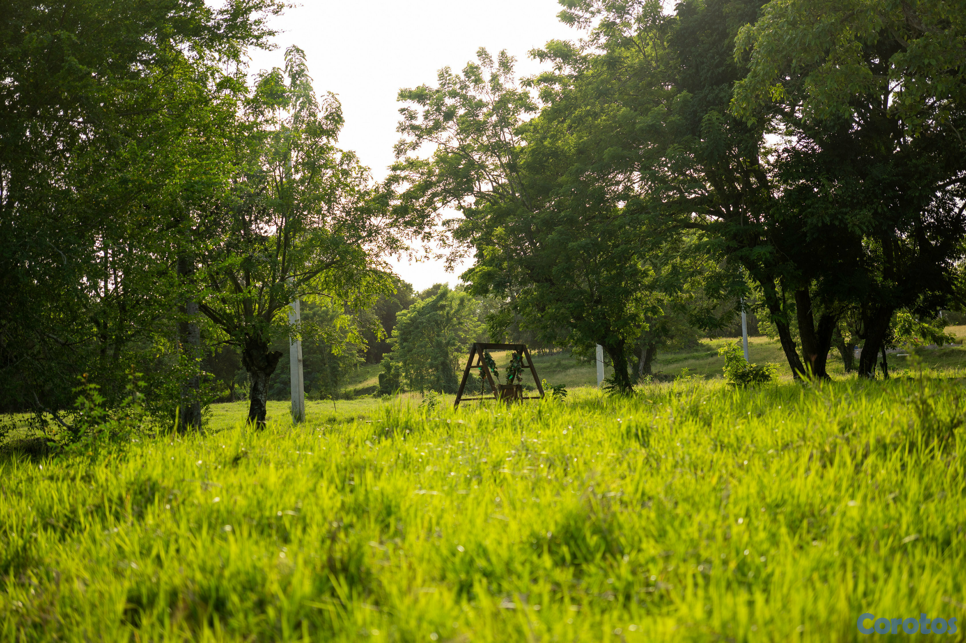 solares y terrenos - ✨ Ciudad del Lago – Donde tus sueños se reflejan en el agua ✨ 3