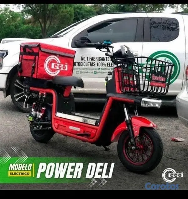 motores y pasolas - pasola electrica para delivery  3