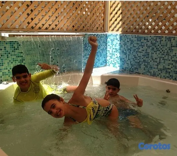 herramientas, jardines y exterior - Jacuzzys y piscinas en venta pa combatir el calor! 7