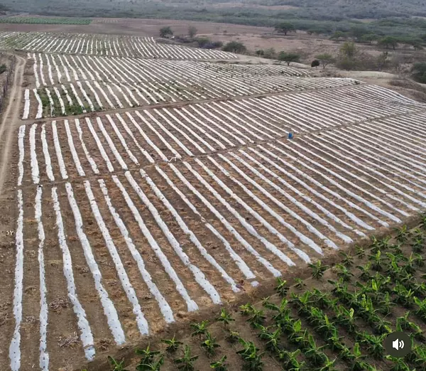 solares y terrenos - Terreno 4,000 Tareas en Amina, Mao 4