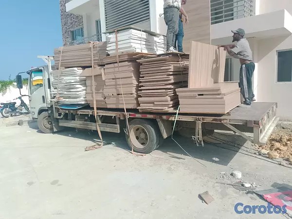 servicios profesionales - transporte Núñez 4
