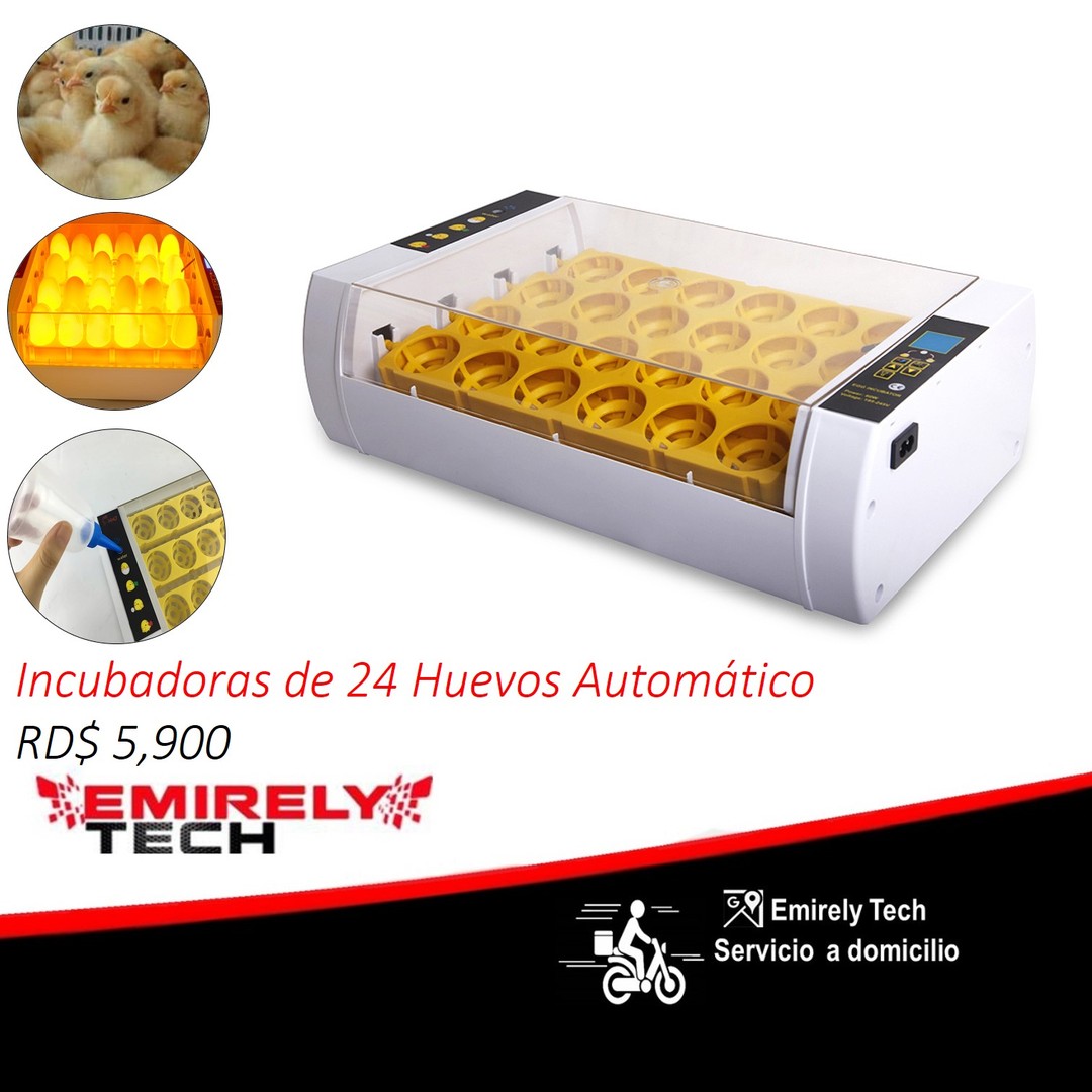 equipos profesionales - Incubadoras de 24 huevos automatico Pollo Pato Aves de corral