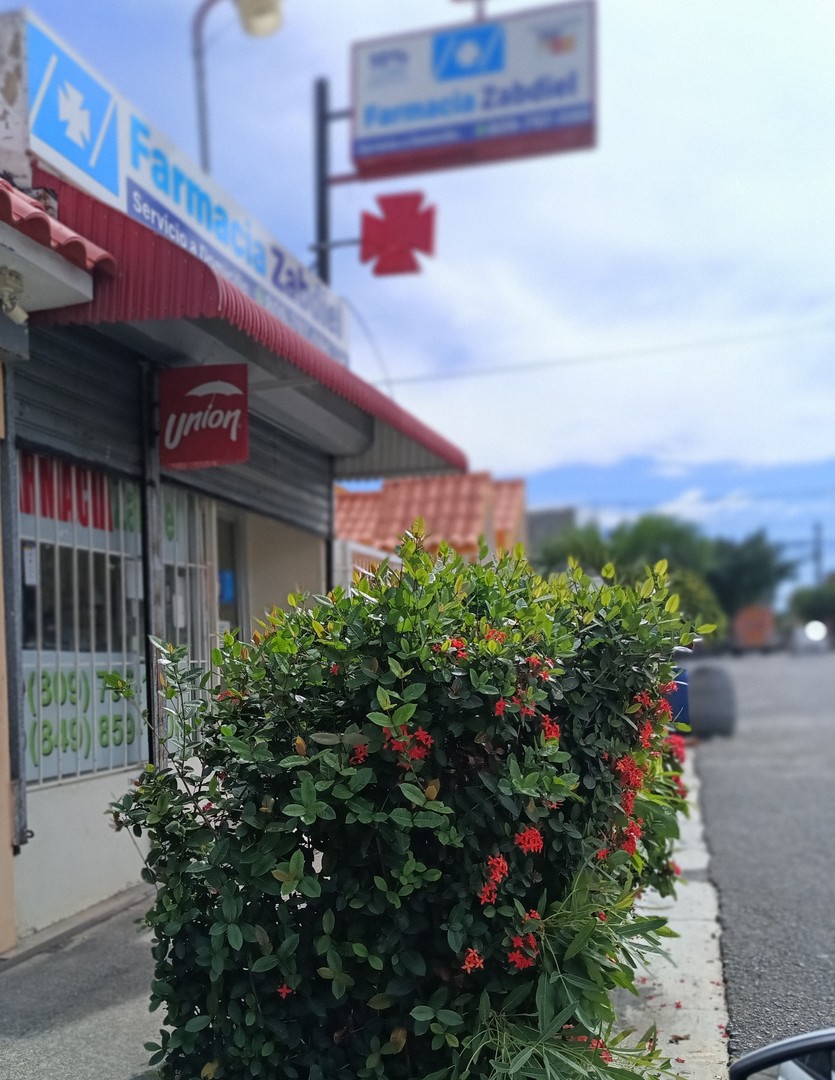 oficinas y locales comerciales - Farmacia de oportunidad, con 15 años de establecida.