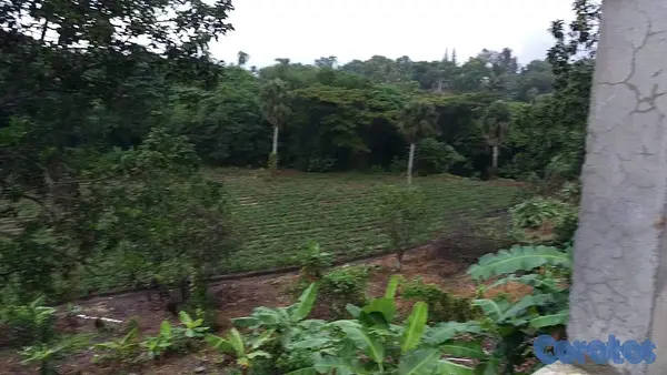 solares y terrenos - Venta de finca con edificación comercial residencial
precio por metro cuadrado 5