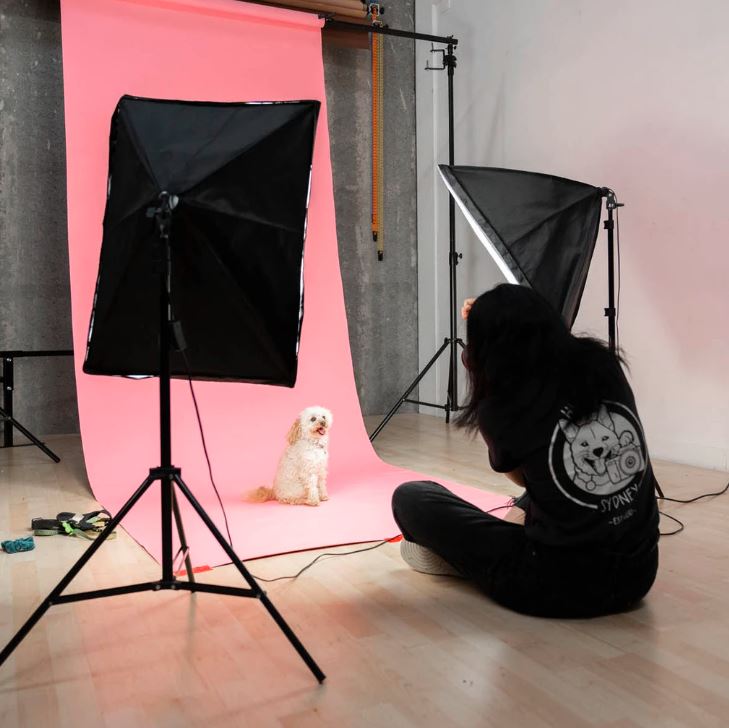 otros electronicos - Soft box caja difusora de luz para videos y fotos  4