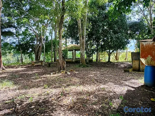solares y terrenos - finca de 40 tareas en sabanagrande de boya  7