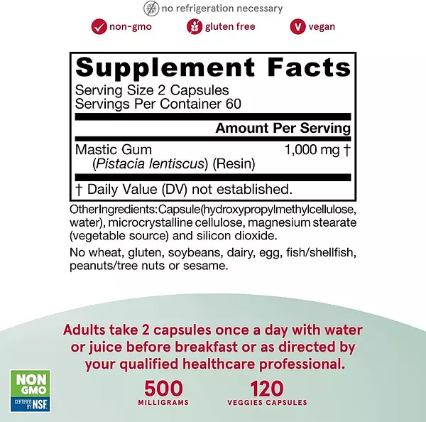 Salud y Equipamiento Médico - Mastic Gum 1000mg 120cap Jarrow 2