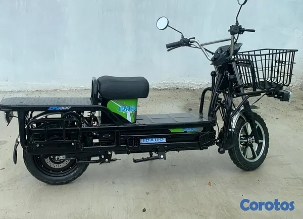 motores y pasolas - Motores eléctricos reforzados para delivey 3