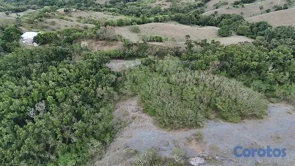 solares y terrenos - TERRENO EN VENTA, DESLINDADO SABANA IGLESIA, SANTIAGO. 3