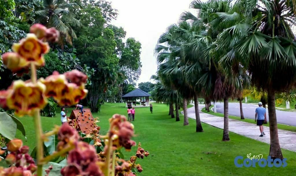 casas - Casa en Colinas del Oeste, av. Prolongacion 27 de  9