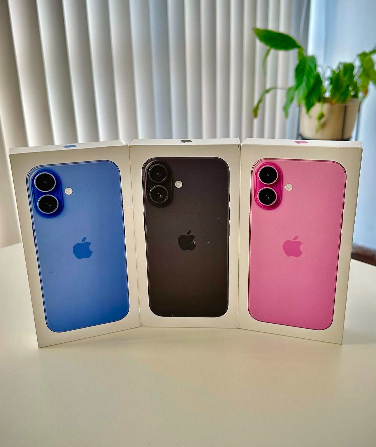 celulares y tabletas - iPhone 16 & 16+ Plus | Nuevos Sellados En Sus Cajas | Factory con garantía Apple 4