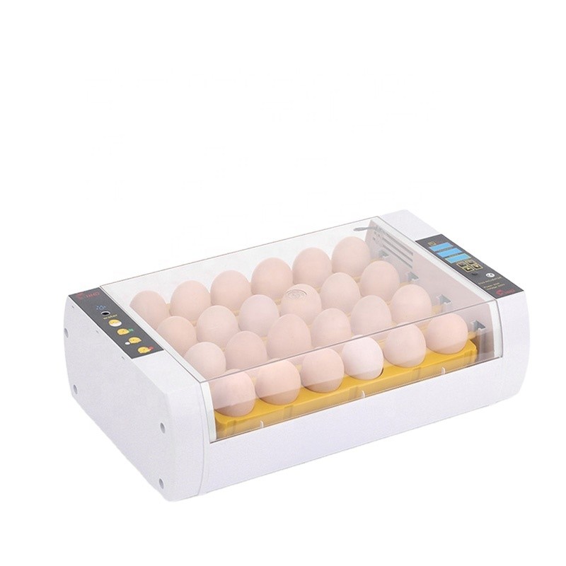 equipos profesionales - Incubadoras de 24 huevos automatico Pollo Pato Aves de corral 2