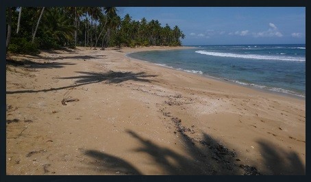 solares y terrenos - Terreno en la Playa Coson