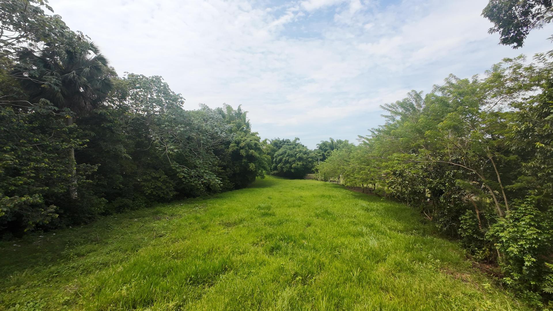 solares y terrenos - Terreno en venta en Jarabacoa