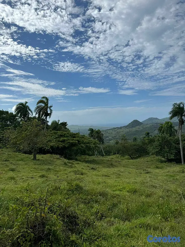 solares y terrenos - 🌿 Tropical Breeze Cupey – Proyecto Ecológico  5