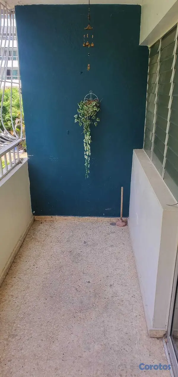 apartamentos - Vendo Apartamento Clásico Bella Vista Sur  5