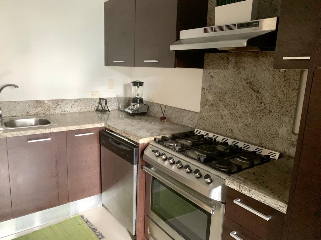apartamentos - Apartamento en alquiler en Evaristo Morales 5