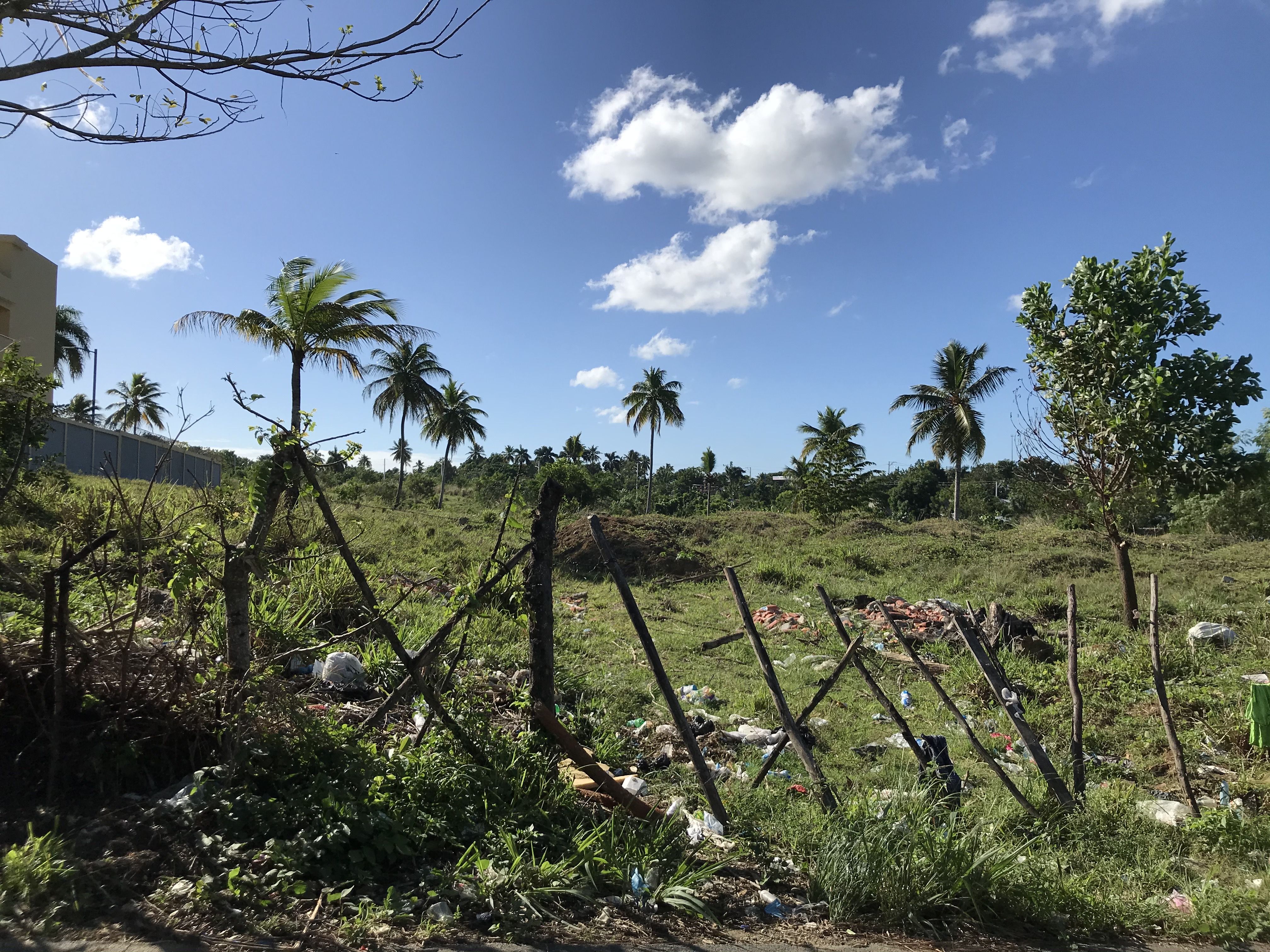 solares y terrenos - Terreno en la Guayiga de 49,456 metros en venta 2