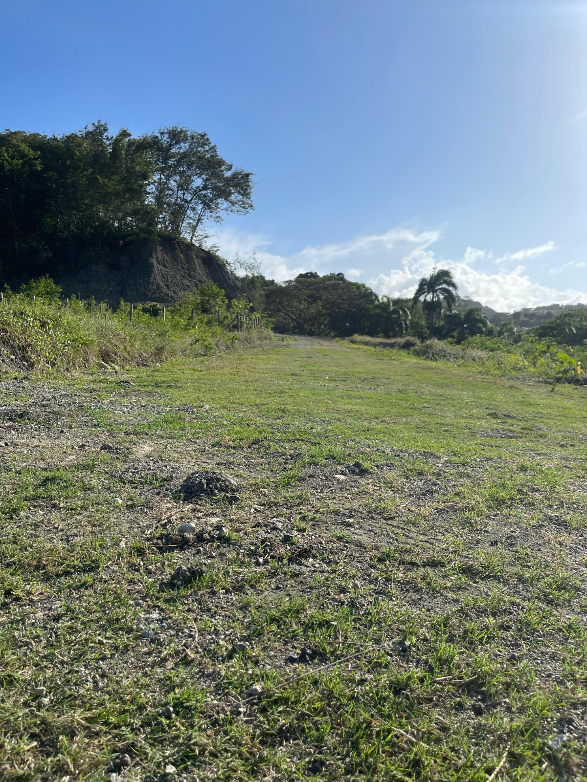 solares y terrenos -  Solares en Venta en Navarrete, Puerto Plata 1
