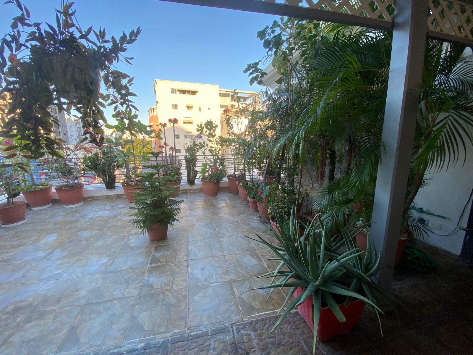 apartamentos - Venta Completamente Amueblado en Mirador Sur 6