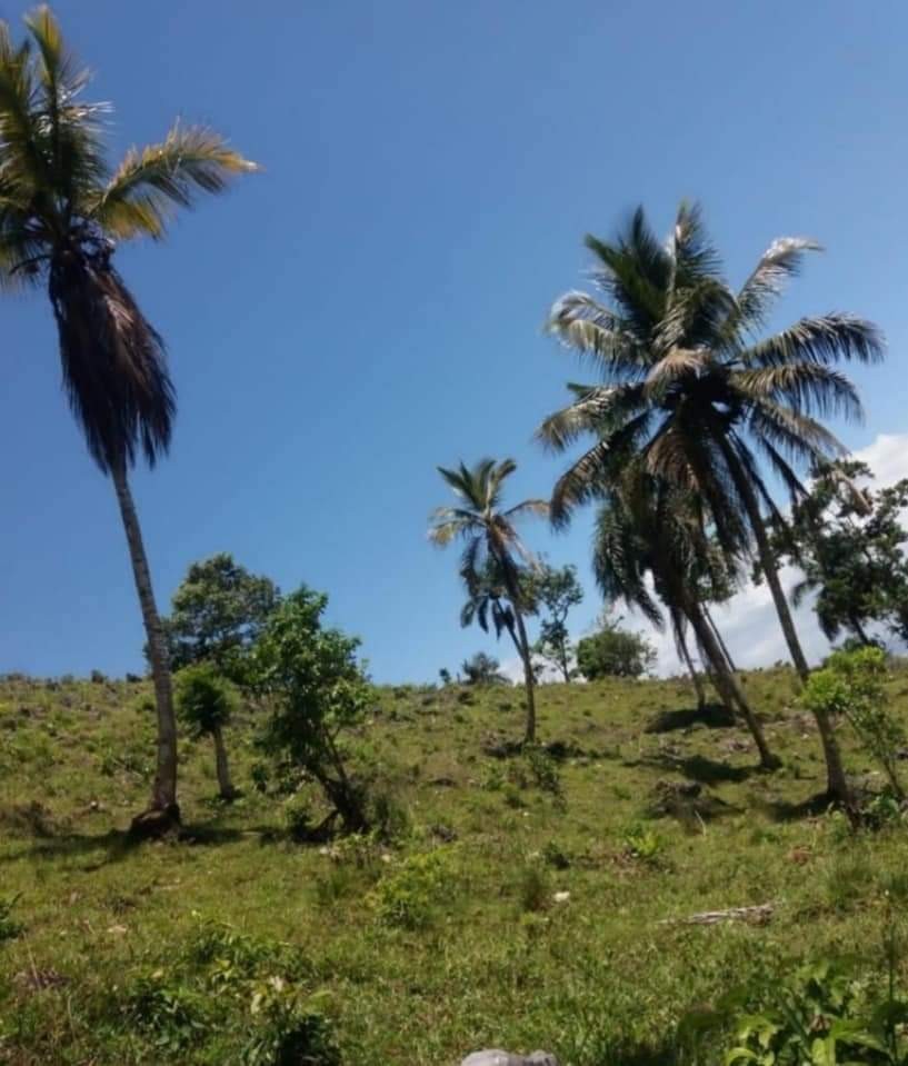 solares y terrenos - Se vende terreno en Samaná