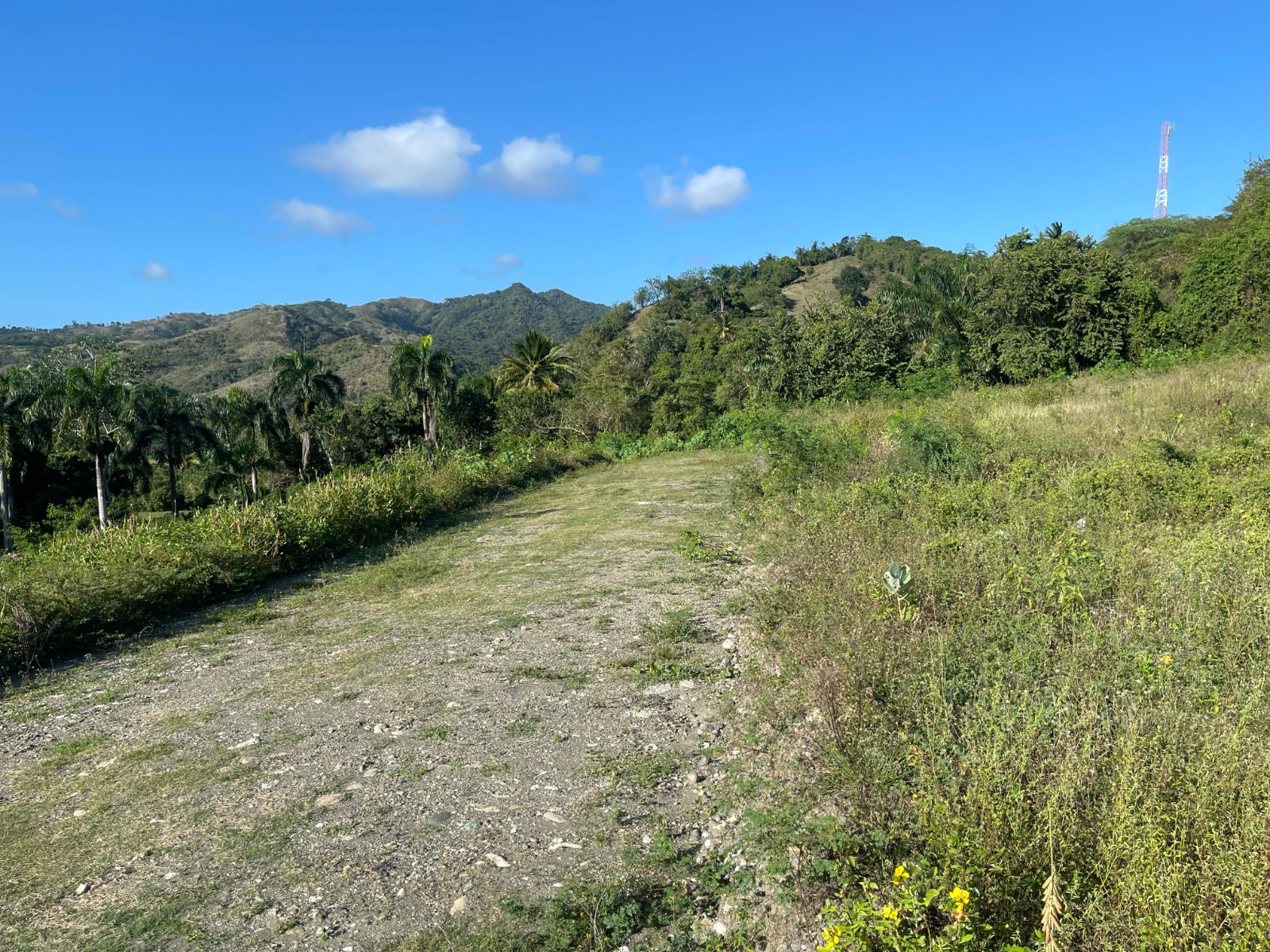 solares y terrenos -  Solares en Venta en Navarrete, Puerto Plata 2