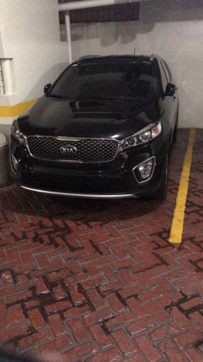jeepetas y camionetas - Kia sorento 2018 2