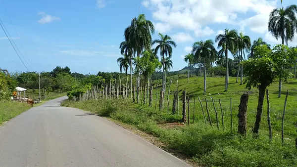 solares y terrenos - Solar/Finca Venta Cabrera 5