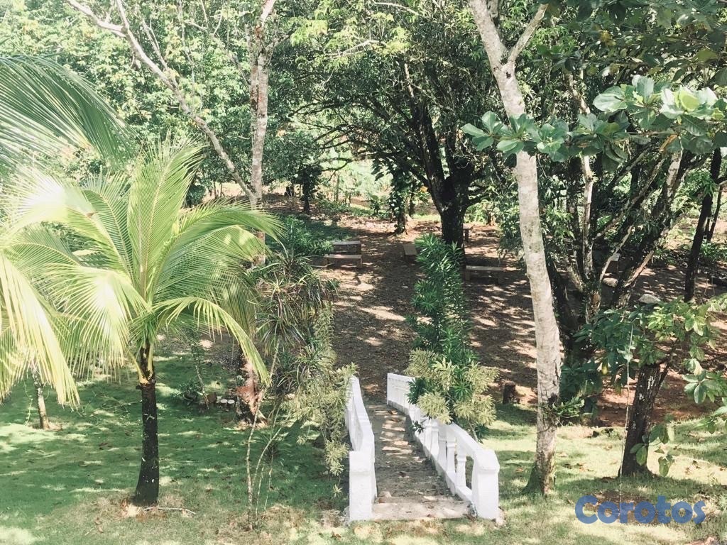 casas vacacionales y villas - Casa vacacional en carretera de Los Mogotes  5