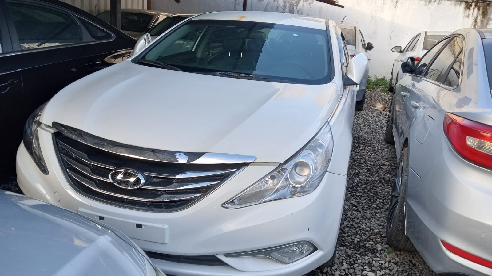 carros - HYUNDAI SONATA Y20 2016 BLANCO
DESDE: RD$ 585,100 0