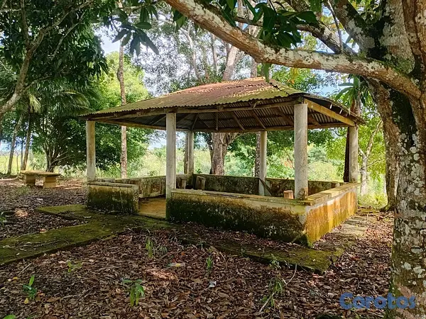 otros inmuebles - finca de 4a tareas en sabana grande de boya  2