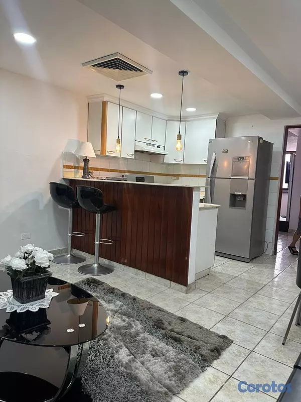 apartamentos - Apartamento en Alquiler Completamente Amueblado Se 6
