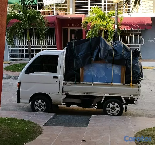 servicios profesionales - acarreo y mudanza  2