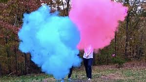 accesorios - Bengala Bomba Gender Reveal Revelacion del sexo smoke bomb humo  3