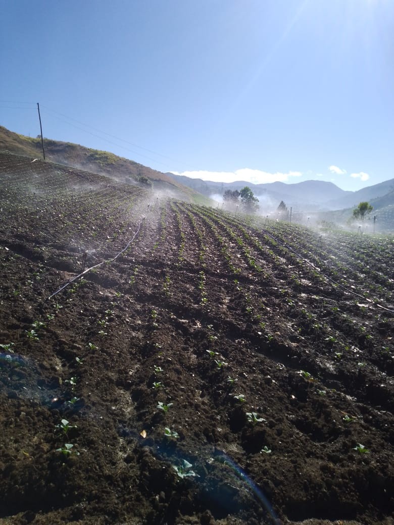 solares y terrenos - Terreno 40,100 mts Tireo, Constanza 
