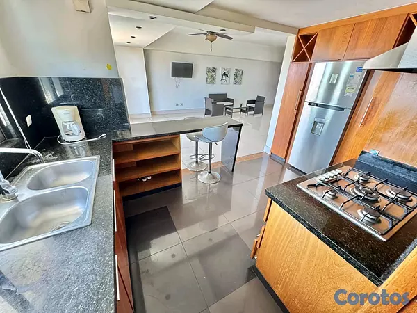 apartamentos - Alquilo Apartamento con Línea Blanca en Cacicazgos  6