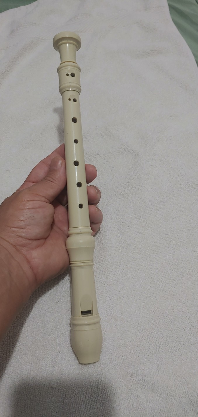 instrumentos musicales - ***Flauta de Dulce***
 1