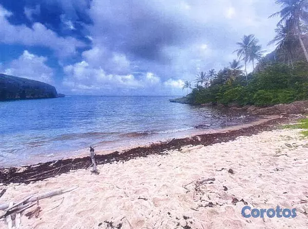 solares y terrenos - Vendo 72,185 Mts.2 CON PLAYA a 100 Mts. (Playa MAD 7