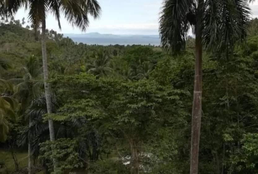 solares y terrenos - Se vende Solar Terreno en Samana 2