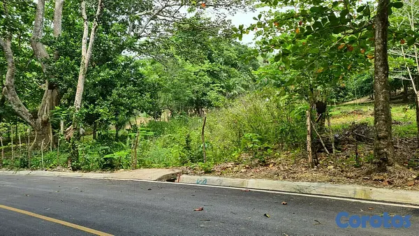 solares y terrenos - Se vende terreno en playa de Moron, Samana 2