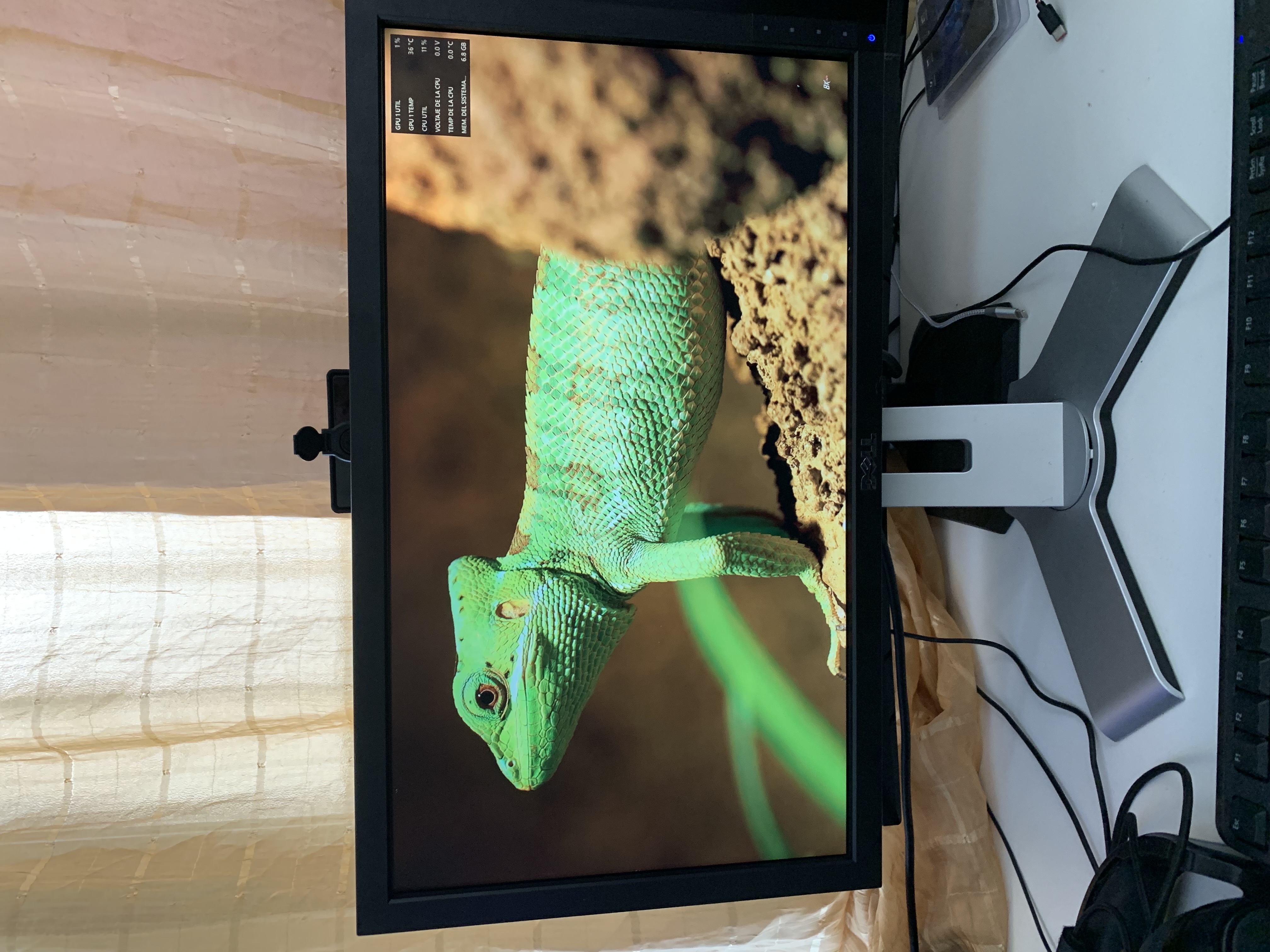computadoras y laptops - MonitorDELL20”1600 x 600 pixeles 60Hz,5msPanel TN, DVI-D, DP, VGA, 4 puertos USB 2