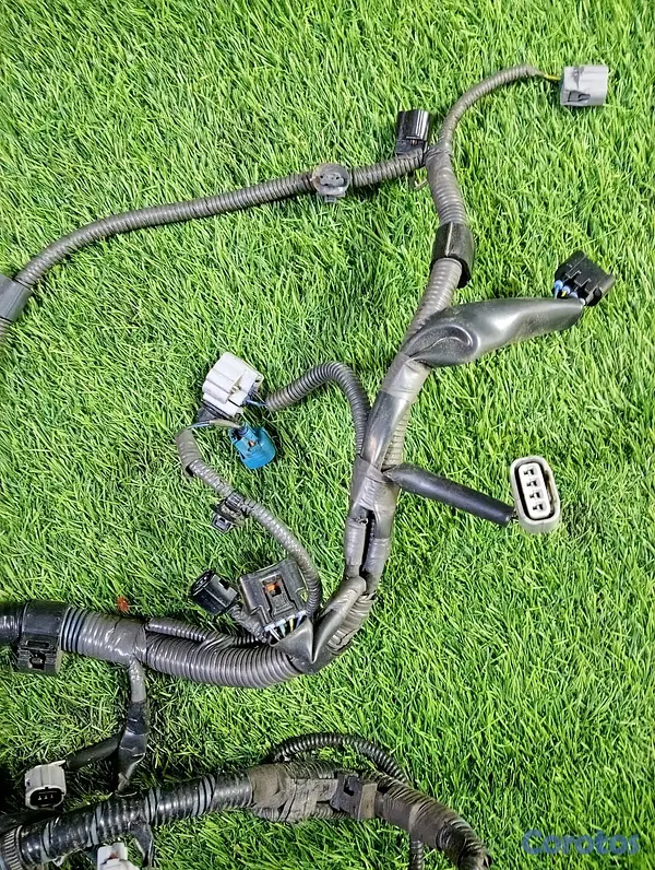 repuestos - Ramal Completo de Toyota Corolla 2014-2018. 3