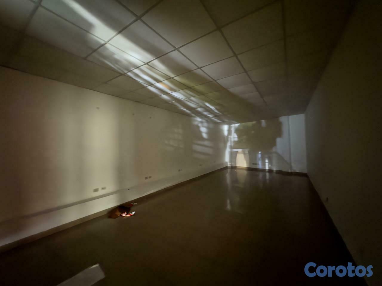 apartamentos - Edificio oficinas alquiler La Esperilla Santo Domingo 9