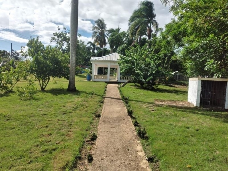 solares y terrenos - Finca Ganadera en Monte con 363 tareas Sabana Grande de Boya 8