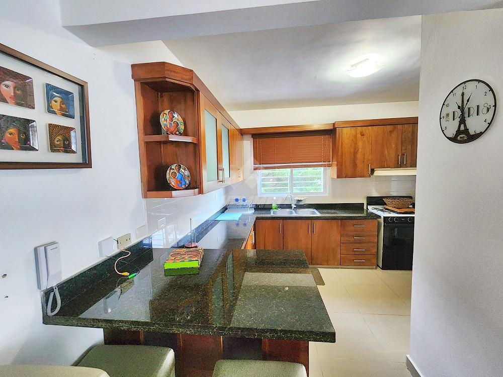 apartamentos - AMUEBLADO PROXIMO LOS LAURELES SANTIAGO 2