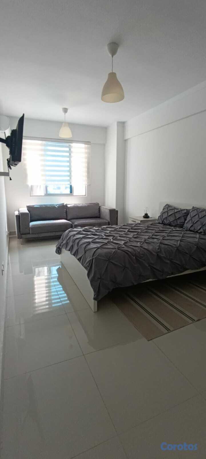 apartamentos - Renacimiento amplio apartamento bien decorado 6