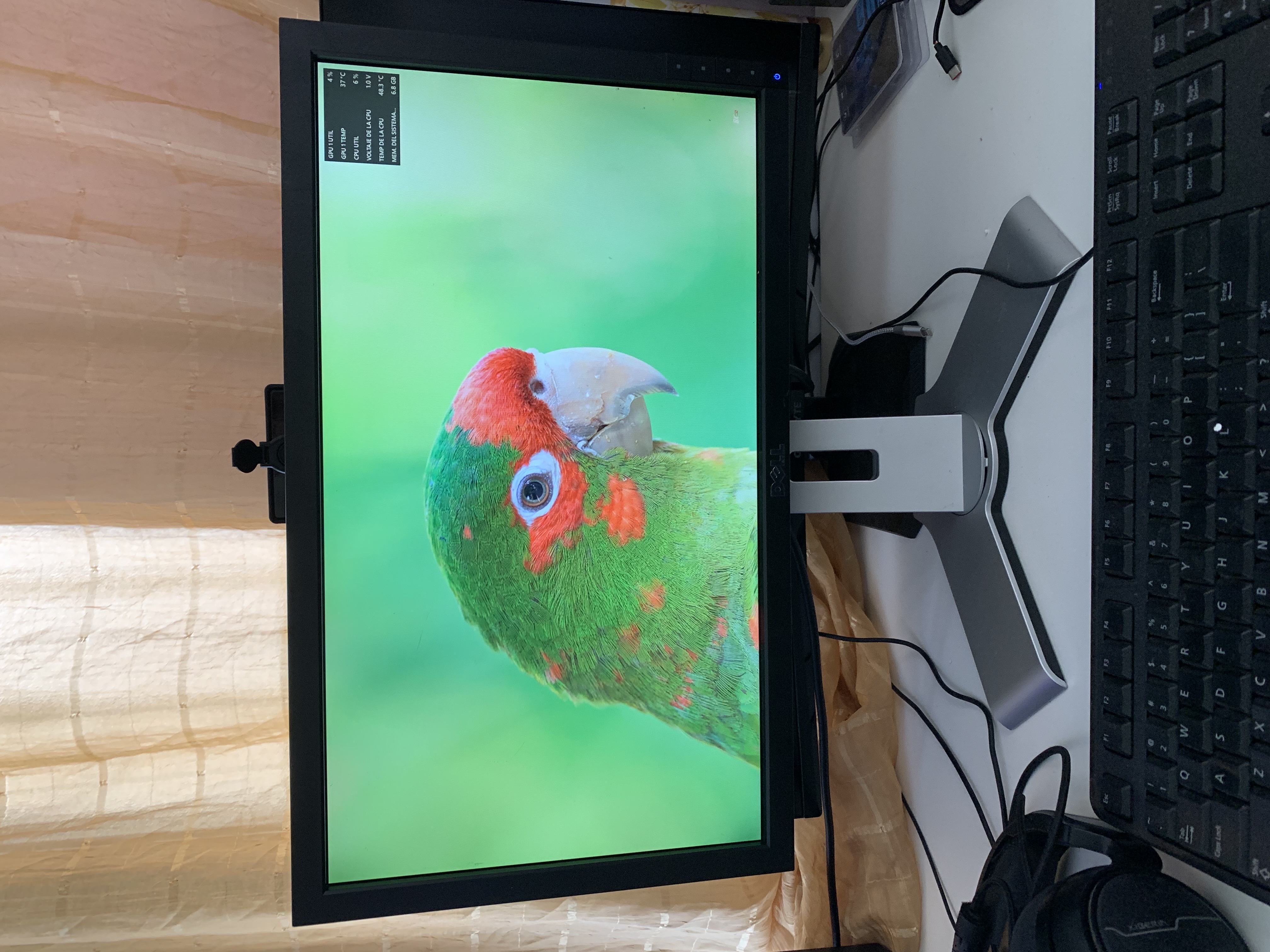 computadoras y laptops - MonitorDELL20”1600 x 600 pixeles 60Hz,5msPanel TN, DVI-D, DP, VGA, 4 puertos USB 3