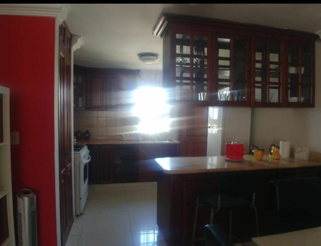 apartamentos -  apartamento Amueblado en BELLA VISTA 2