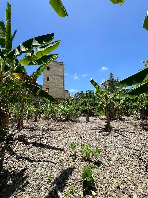 solares y terrenos - Terreno de Venta en Villa Olimpica  6